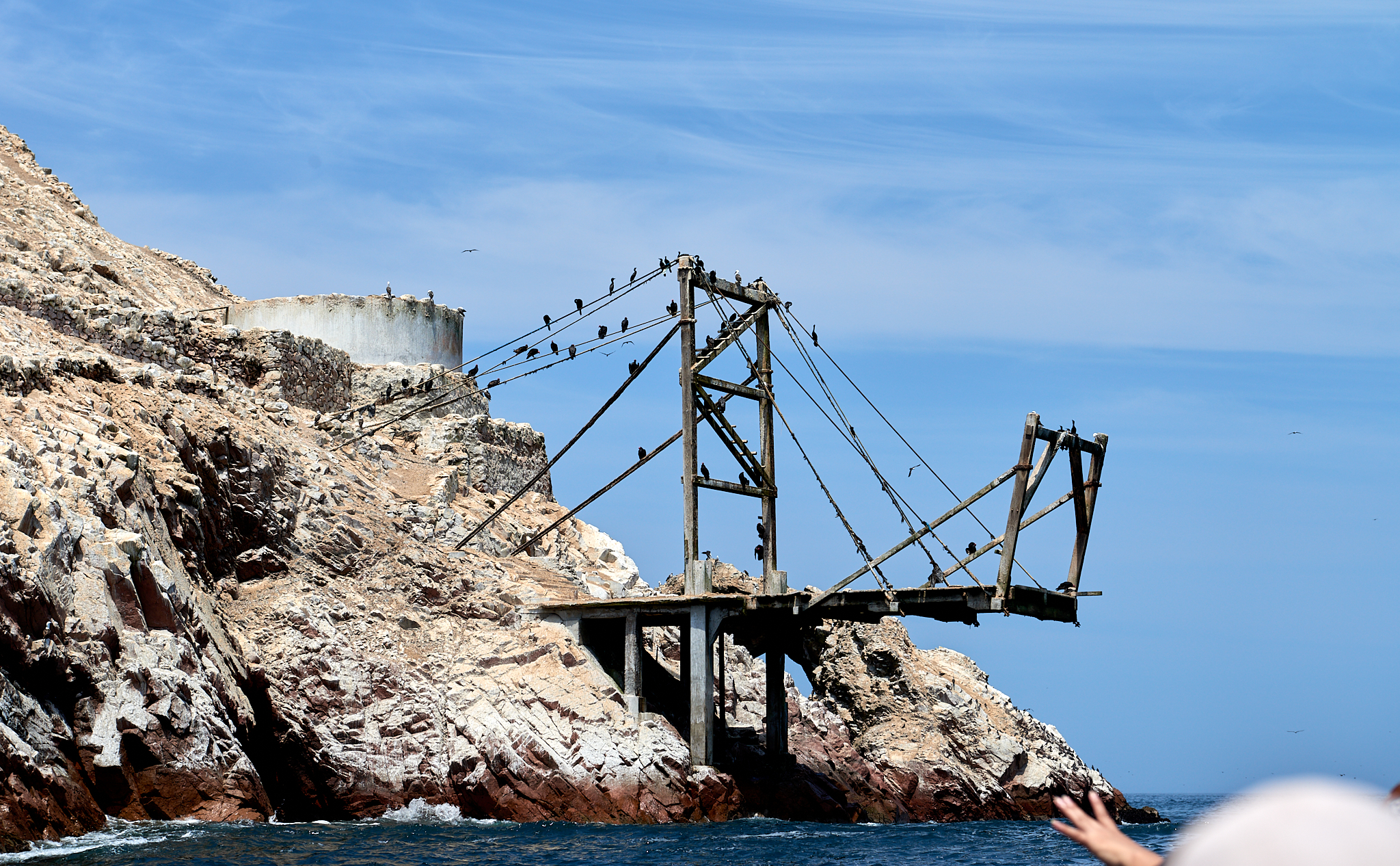 20200304 142 [페루] 바예스타섬